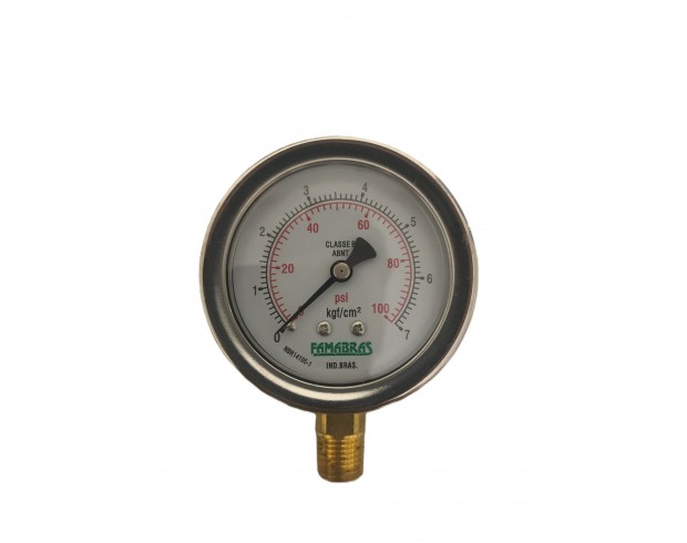 FSIG-62/1 - NPT 1/4