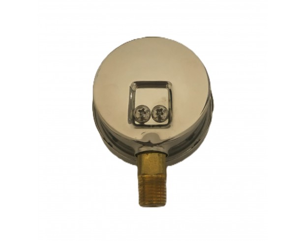 FSIG-62/1 - NPT 1/4